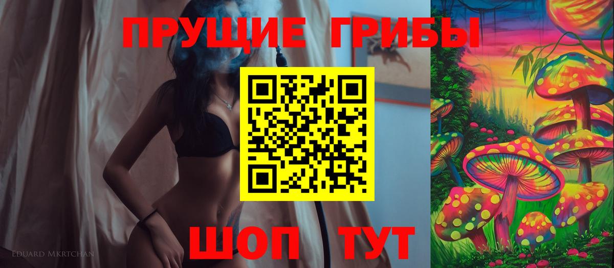 купить наркотик  Псилоцибиновые грибы ЛСД  Вход с VPN  Торжок 